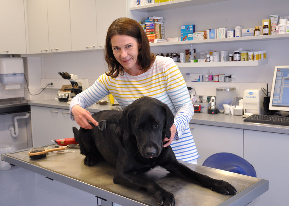 Hundefriseurin Sandra Falkner